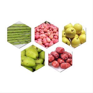 Máquina Industrial de Clasificación y Calibración de Frutas, Equipo de Calibración de Tambor Rotatorio - Product Image 4