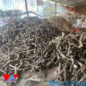 Palitos Masticables Ecológicos Premium para Perros 2025 Hechos de Madera de Café Arábica/ Golosinas Sostenibles para Mascotas de Vietnam/ Sra. Lima - Product Image 3