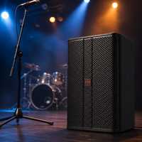 NF10 300W 10 pouces Haut-parleur PA passif professionnel 2 voies pleine gamme pour conférence, enceinte en MDF