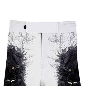 2024 Customized MMA <b>Shorts</b> for Muay Thai <b>Kickboxing</b> Boxing-Grappling Sublimation OEM Service Martial Arts Wear - Product Image 5