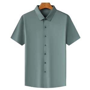 Chemise décontractée à manches courtes en Oxford solide pour hommes, simple boutonnage avec col montant, anti-rides, fourniture d'été ODM - Product Image 2