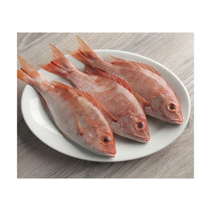 Poisson rouge congelé de haute qualité prêt pour la vente en gros aux distributeurs et aux détaillants - Product Image 5