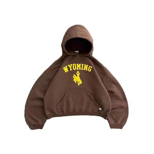 Sweat à capuche court à la mode de haute qualité pour femmes imprimé mode Streetwear pour décontracté hiver col roulé Zip sweat avant Logo - Product Image 4