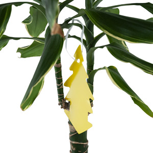 Trampa Adhesiva para Control de Insectos, Eficaz Contra Mariposas, Áfidos, Mosquitos y Moscas del Suelo - Repelente para Macetas - Product Image 5