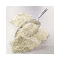 Lait en poudre de qualité supérieure Dairy America pour bébés et adultes en sac/sachet/boîte, approvisionnement en vrac pour les acheteurs commerciaux