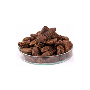 Cardamomo negro premium disponible a granel, ideal para proveedores de especias y mayoristas. - Product Image 5