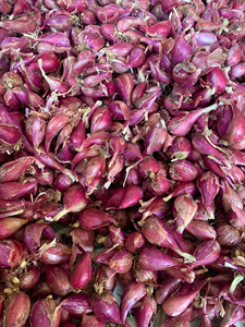 Anneaux d'échalote congelés | Ingrédient aromatique | Usine du Vietnam - Product Image 5