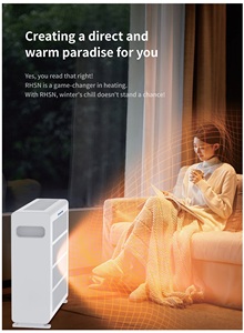 2025 bajo <span class=keywords><strong>consumo</strong></span> y alta eficiencia al aire libre RV portátil Heater1000W calentador eléctrico infrarrojo lejano alimentado por batería - Product Image 5
