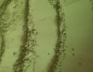 ผงมัทฉะจำนวนมากผู้ผลิตโดยตรงจากเวียดนาม - Product Image 3