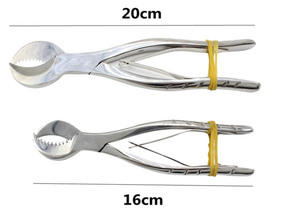กรรไกรตัดปูนปลาสเตอร์สำหรับงานทันตกรรม 8 นิ้ว 20 ซม. กรรไกรตัดยิปซั่ม สแตนเลส 2026 - Product Image 2
