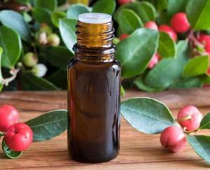Aceite Esencial Puro de Wintergreen (Blanqueador y Antiarrugas) al por Mayor para Uso Comercial - Mejores Precios al por Mayor - Product Image 3