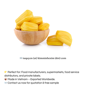 ขนุนแช่แข็งคุณภาพการส่งออกระดับพรีเมียมจากเวียดนามสำหรับผู้ผลิตอาหารผู้ค้าส่งและผู้นำเข้าทั่วโลก - Product Image 3