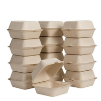 Vente en gros Récipient à emporter de canne à sucre biodégradable Boîte à nourriture jetable Boîte à clapet rectangulaire de canne à sucre