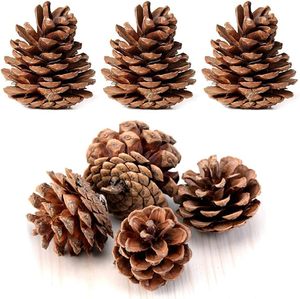 <b>Pinecone</b> Natural in Wholesales Price <b>Pinecone</b> Christmas Decoration for Room and Party Decoration - Product Image 6