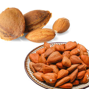 Granos de albaricoque | Limpiados y clasificados para aplicaciones nutracéuticas - Product Image 1