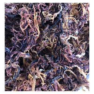 Top Selling Seaweed Best Quality Dried Golden Seamoss With <b>Salt</b> With Branches Best Price Vietnam - Product Image 2