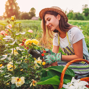 Gants de jardin en nitrile imperméables et résistants à la chaleur pour creuser, planter, désherber, semer, protéger les ongles et les doigts - Product Image 5