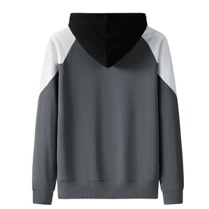 Sudadera con capucha con estampado de soplo de alta calidad logotipo personalizado 500G 100% algodón de lana de peso pesado en blanco sudaderas con capucha de talla grande para hombre - Product Image 2