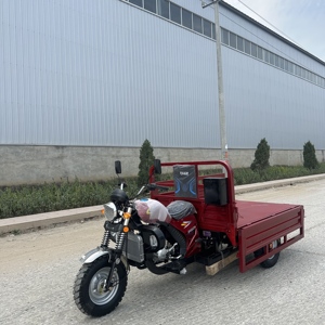 COREY 2026 Véhicules à trois roues/Tuk-Tuks 250cc à succès en Chine, vente directe d'usine - Product Image 6
