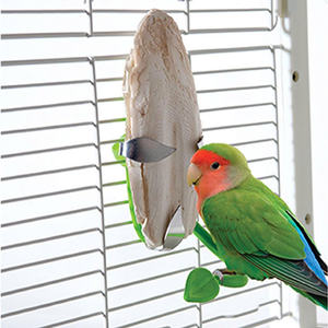 แผ่นรองกระดูกปลาหมึกทำจากแคลเซียมธรรมชาติสำหรับดูแลจะงอยปากกระต่ายนกและโปรเจกต์งานฝีมือแบบทำมือ - Product Image 5