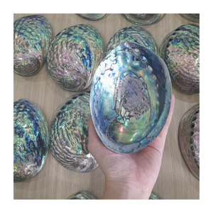 Piedra preciosa pulida inspirada en el océano de concha de abulón natural de Vietnam, perfecta para joyería DIY y decoración del hogar - Product Image 6
