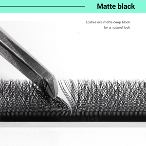 Extensiones de Pestañas Marrones W 3D 4D 5D 6D, Bandejas de Pestañas Preformadas Clover, Efecto Volumen W, Pestañas de Visón Sintético al por Mayor - Product Image 4