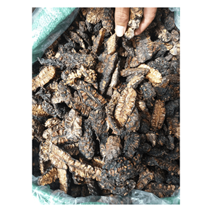 FRUTO NONI SECO DE ALTA CALIDAD-NONI 100% NATURAL CON SABOR MEJORADO PARA EXPORTACIÓN - Product Image 1