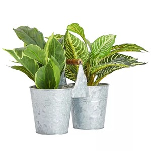 Charmant ensemble de jardinière en métal galvanisé avec design suspendu pour une décoration intérieure ou extérieure élégante - Product Image 6