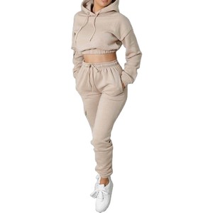 Wholesale 2026 <b>Women</b> 2 Piece Sets Sweat Suit Sets and Tracksuits <b>Long</b> Sleeve <b>Women's</b> <b>Hoodies</b> and Sweatshirts Crop Top Set - Product Image 3