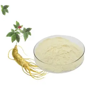 En iyi fiyat ile Nuoyuan toptan yüksek kalite Ginseng kökü ekstraktı toz 80% ginsenobest