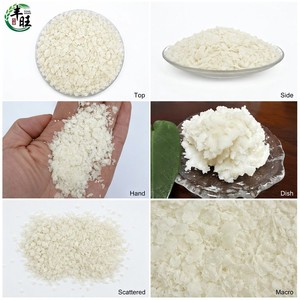 Bulk Supply Dehydrated Organic Potato Powder High Viscosity Natural Starch ISO/Halal Certified 6-8% Moisture 25kg <strong>Agricultural</strong> - Product Image 2