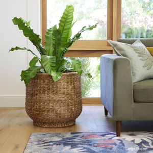 Maceta Decorativa Hecha a Mano con Jacinto de Agua para Plantas de Interior y Exterior, Maceta Moderna y Elegante - Product Image 6