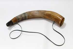 Corne sonore de bataille polie, élégante décoration d'intérieur et souvenir - Product Image 5