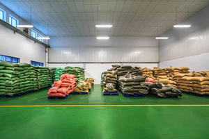 Granos de Café Verde Arábica de Alta Calidad de Vietnam |   Granos Enteros Sin Tostar |   Suministro al por Mayor - Product Image 5