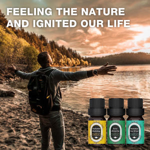 Aceite Esencial Premium de Marca Privada para Difusor de Aromaterapia, <span class=keywords><strong>Humidificador</strong></span>, Aceite Perfumado, Aromas Naturales, Aceite de Fragancia Puro - Product Image 4