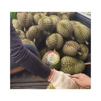 Premium verse hele Durian Mon Thong, koning der vruchten, met originele smaak, rijk en romig, 3-4 stuks/doos, diepvriesfruit uit Vietnam