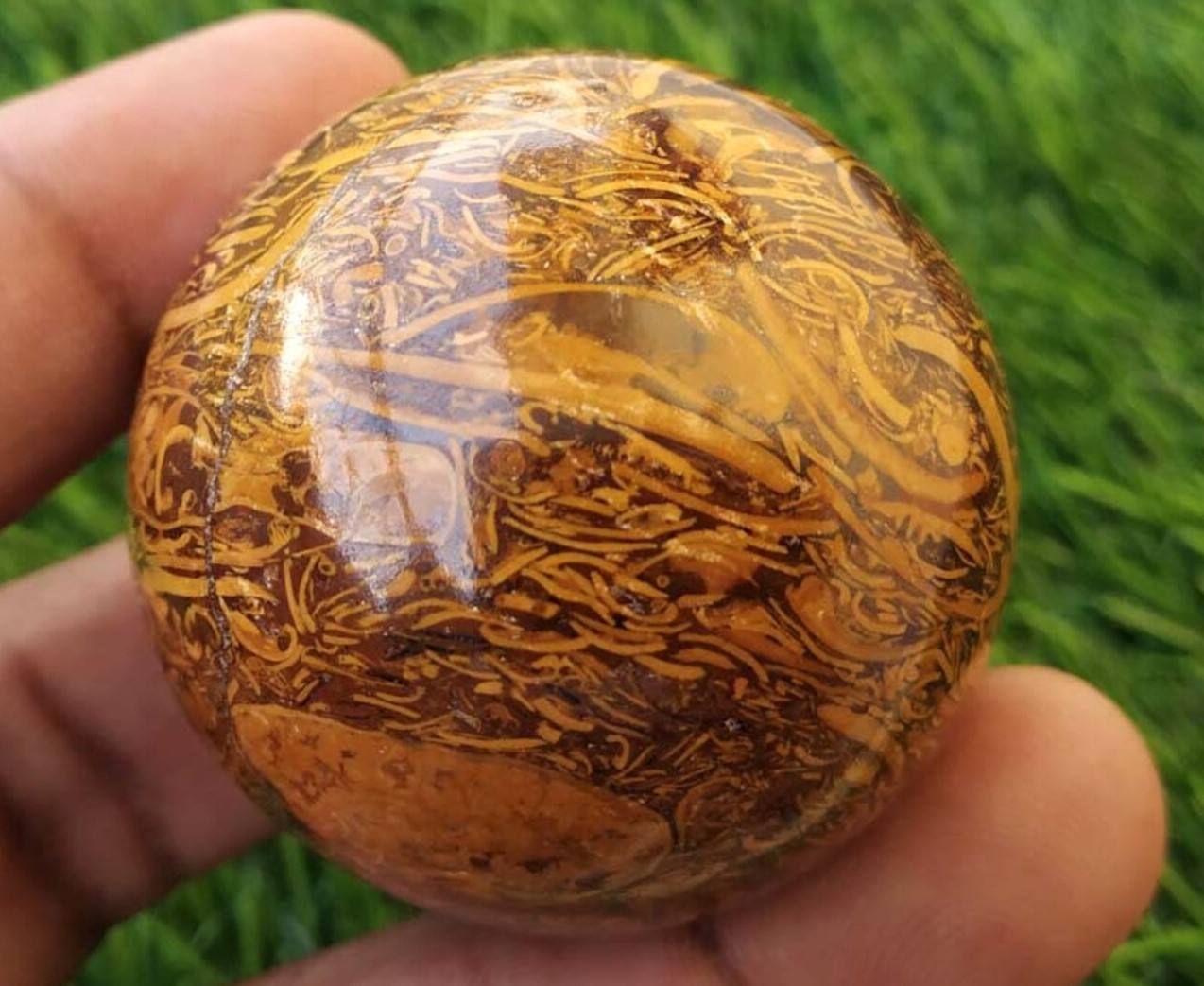 ตามที่แสดงในภาพ