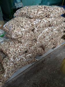 TIGES SHIITAKE BIOLOGIQUES PREMIUM ORIGINE VIETNAM: UNE COLLATION NUTRITIVE ET À LA SAVEUR - Product Image 6