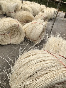 Competitive Priced Hand <b>Bleached</b> Raw Dried Rattan for Agriculture Supplying Bao Tram Anh - Product Image 4