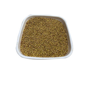 Berseem Clover | Cultivo listo para cultivar para ganado - Product Image 1