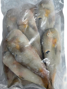 Pescado de Loro Congelado Premium, Suministro al por Mayor para Grandes Compradores - Product Image 4