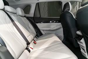 Nuevo para el SUV EX5 - Product Image 2