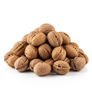 Frutos de nueces a granel de primera calidad con sabor a nuez natural ofrecidos para exportación en grandes cantidades ideales para snacks confitería - Product Image 4