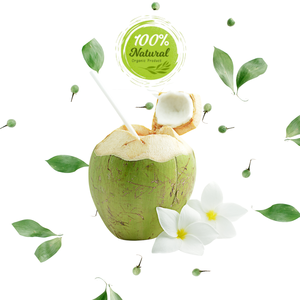 Noix de coco fraîche vietnamienne, boisson naturelle parfaite pour l'agriculture - Product Image 4