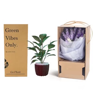 Custom Printed Kraft Paper Plant Shipping <strong>Box</strong> with Handle for Live Plants &amp; <strong>Flower</strong> Bouquets - Product Image 1