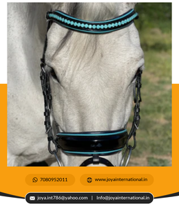 Vente en gros de haute qualité Brides de dressage de chevaux Bride légère noire brevetée Design pliable Prix d'usine pour Fidji - Product Image 3