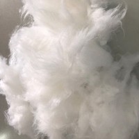 Fibre de Kapok Naturelle 100% Fabriquée à Partir de Kapok Matière de Remplissage de Filature Brute Écologique Antibactérien Respirant Produit au Vietnam