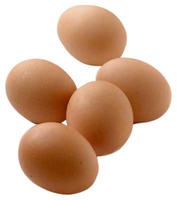 Œufs de poule fertiles à couver et œufs de table frais (bruns/blancs) avec jaunes d'œufs de caille