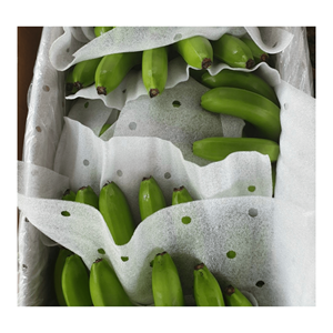 Green Cavendish Banana Fresh-Banane verte fraîche pour l'exportation-Fruits et légumes frais du Vietnam de haute qualité - Product Image 3