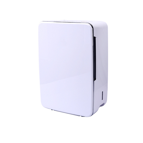 Dehumidifier Small